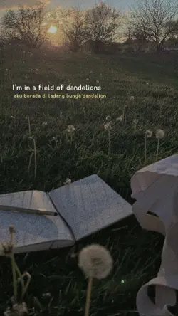 dandelions