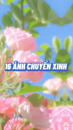 16 ẢNH CHUYỂN XINH