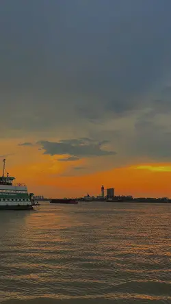 Mẫu 1 video