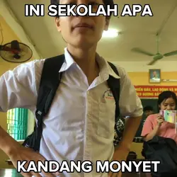 sekolah apa kdng