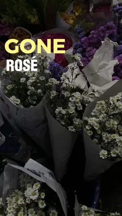 [2] Gone - Rosé