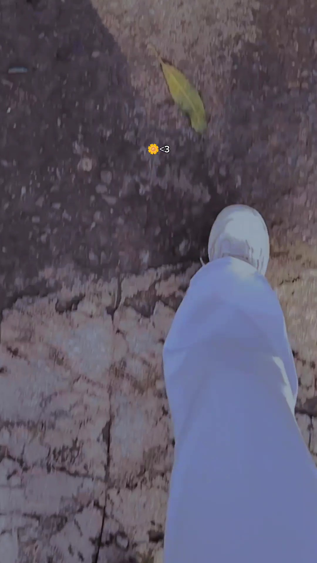 Video Walking+filter