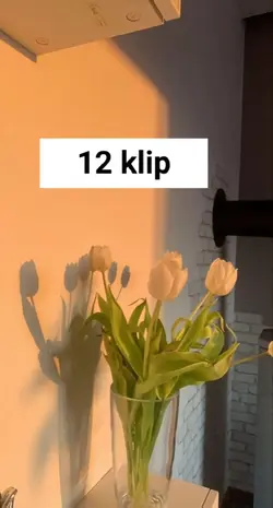 Foto Video Random