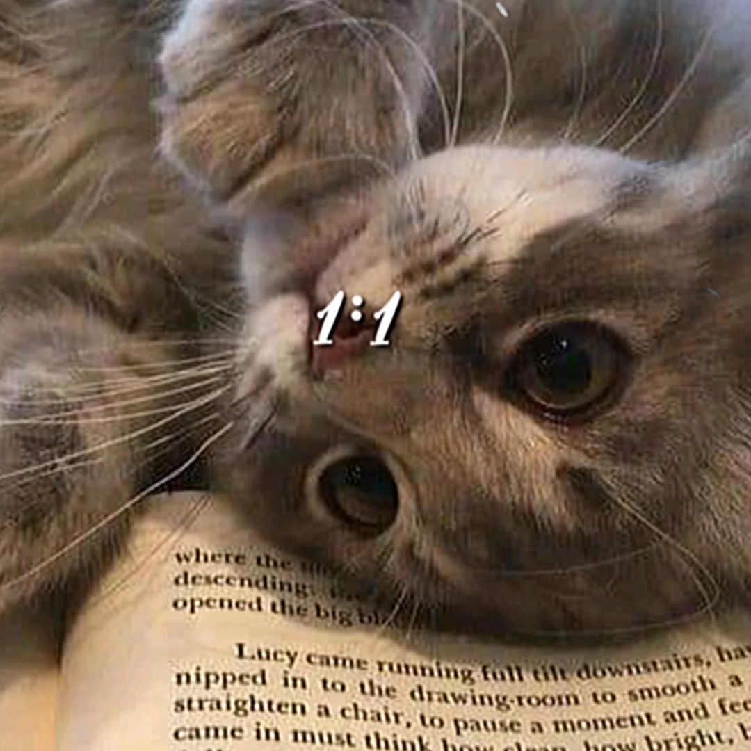 valentine's 