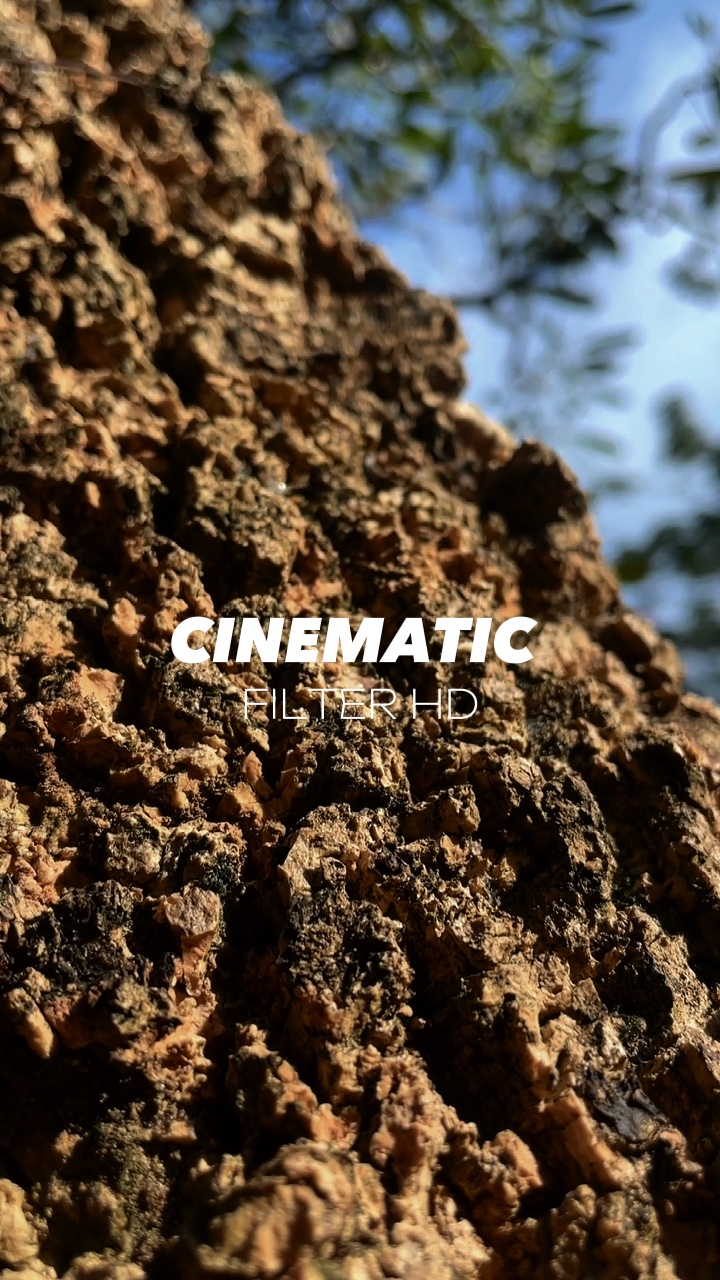 Cinématique 