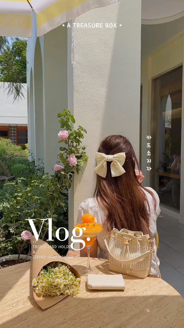 Daily vlog