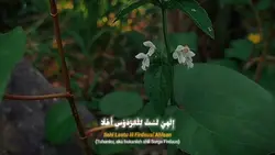 SHOLAWAT ILAHI LASTU