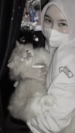 yang salin tautan