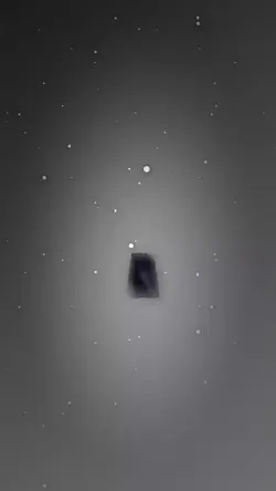 T.