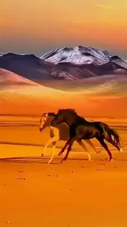 takdir Allah 