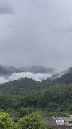 ธรรมชาติ🍃