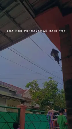 manut o agus kotak