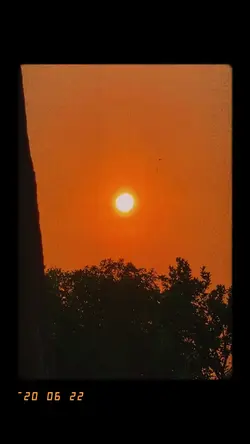 Plog film #10