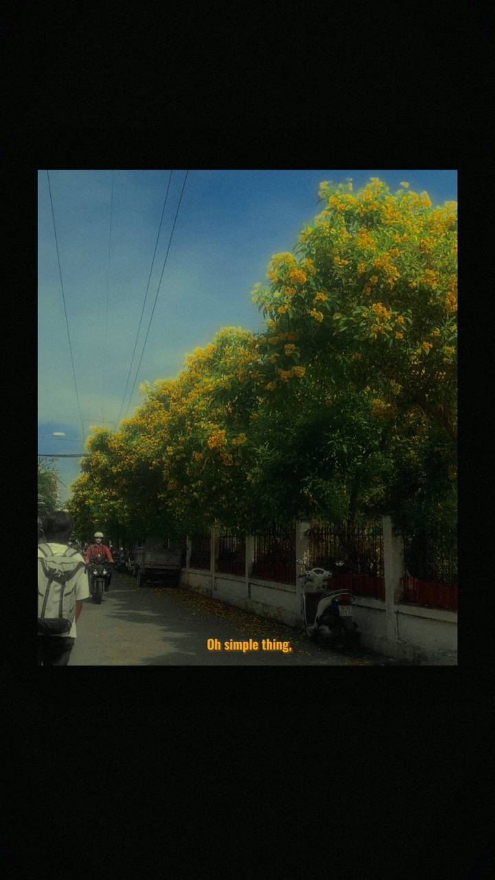 Mu gifilm 1 vid
