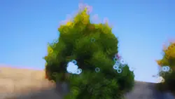 Cinematic AW aw
