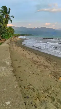 Aft Hours X Titanium