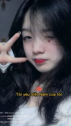 Tôi yêu Việt Nam