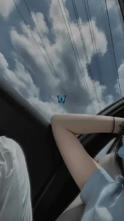 แหงนมองพระจันทร์