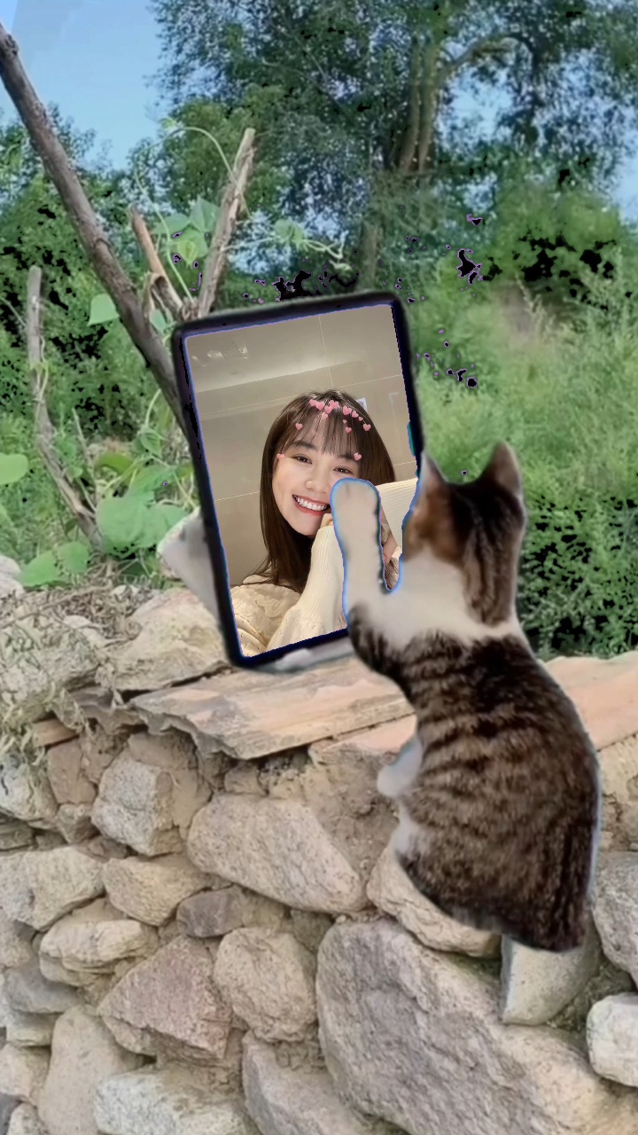 Mẫu giải trí 