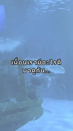 แก้ไขรูป+ข้อความได้