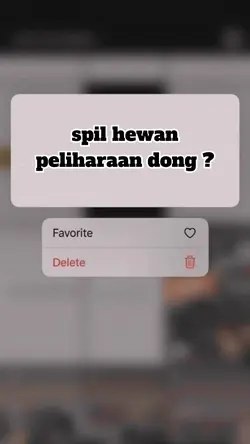 spil hewan peliharaa