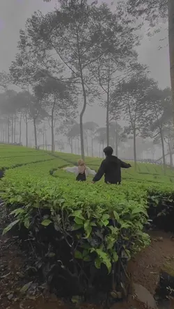 dijauhkan oleh jarak