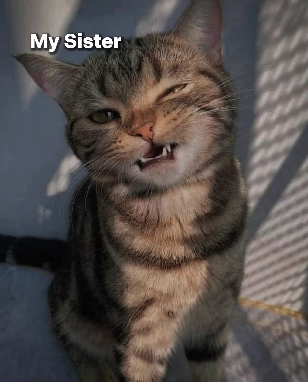 Meine Schwester und ich
