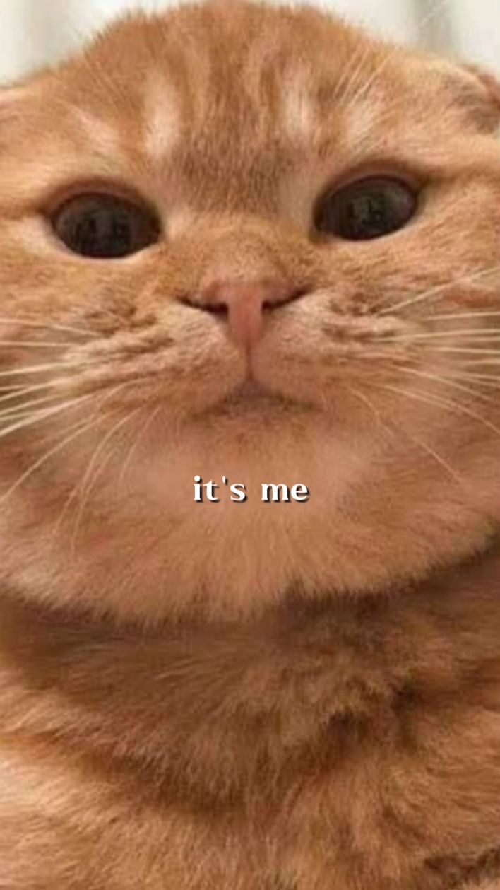 c'est moi