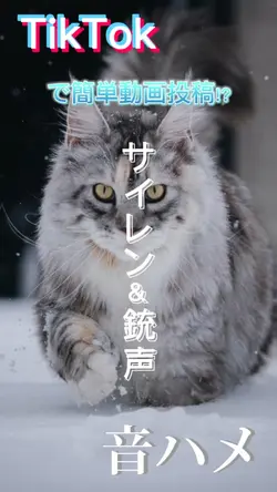 サイレン＆銃声