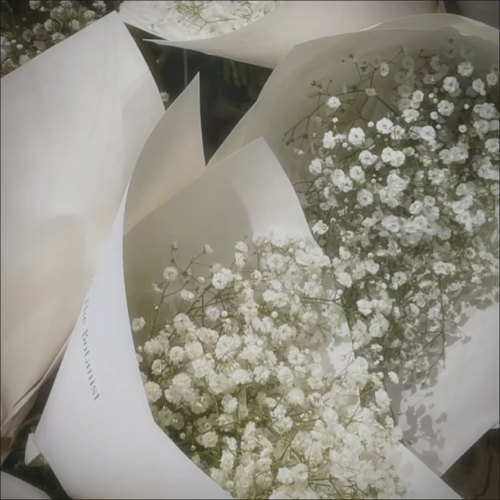 filtre rêveur