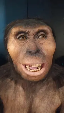 Monyet berubah