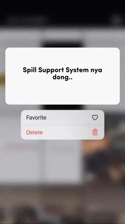 Support System