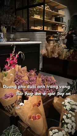 [4] Nhạc xinhh vchh