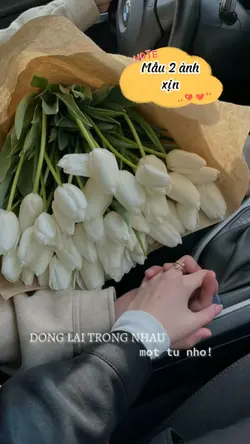 Có đâu ai ngờ