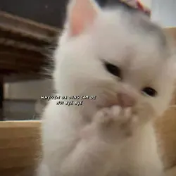 Thêm 7 ảnh