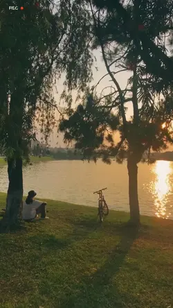 1video + màu🍂