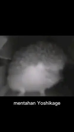 Mentahan Yoshikage