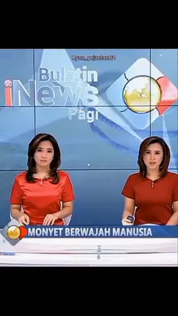 MonyetBrwajahManusia