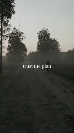 Trust the plan