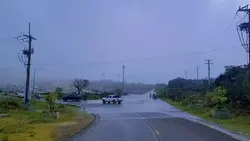 មិនអស់អាល័យ