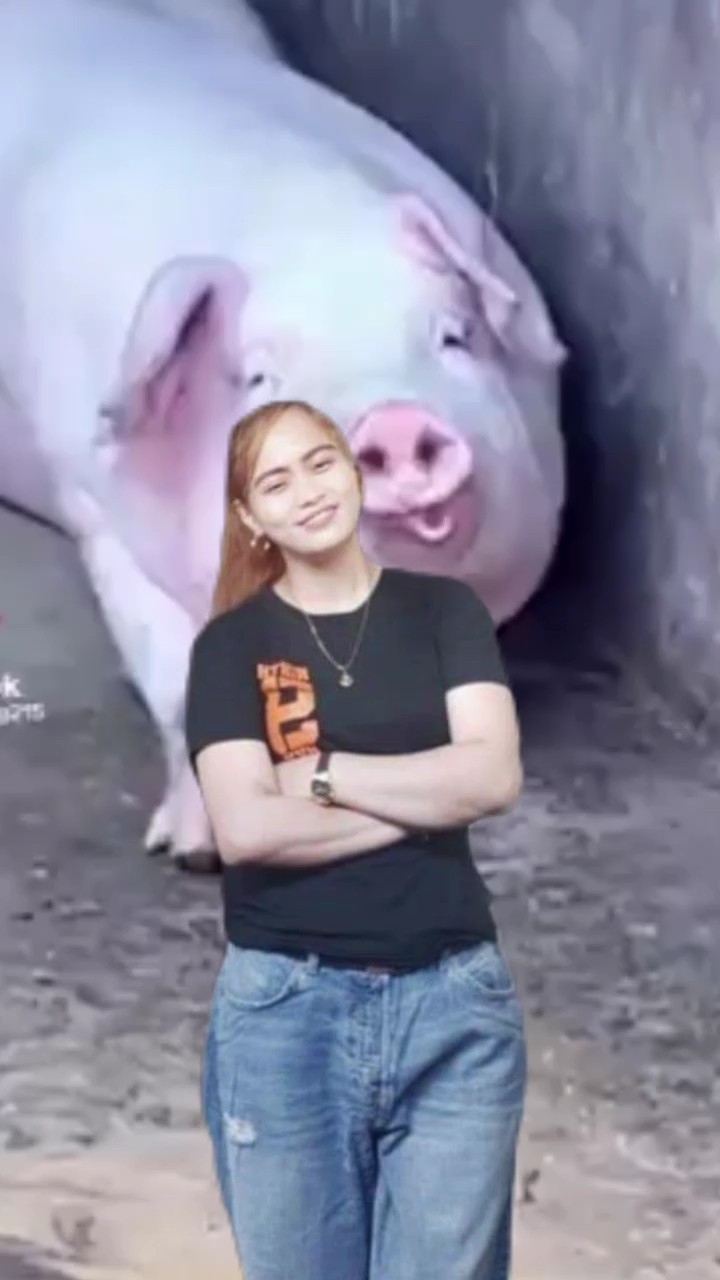 cochon affamé