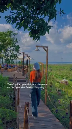 Ta chẳng thể ngắm 
