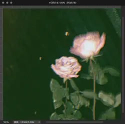 ย้อนยุค