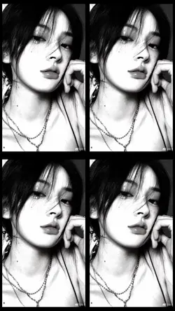 frame webcam