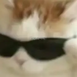 자신을 소개해 보세요! 