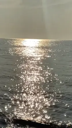 3videos 10pictures🏖🏝