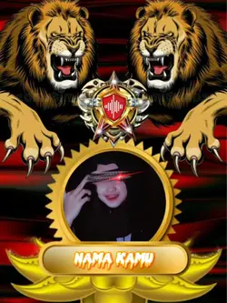 overlai singa