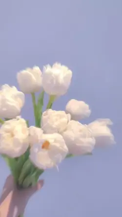 おしゃれな動画を作ろう。