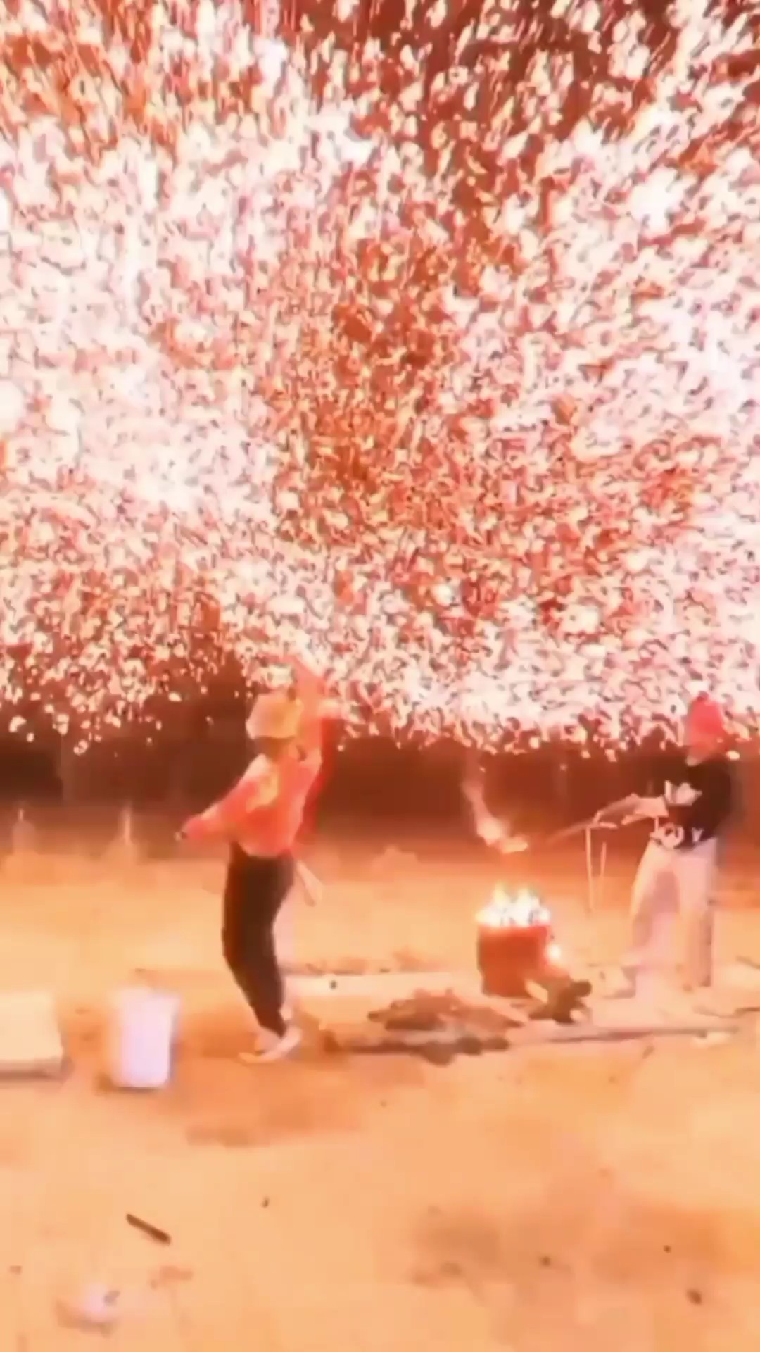 I love fireworks 