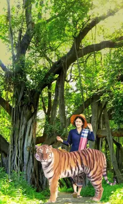 Hutan Belantara